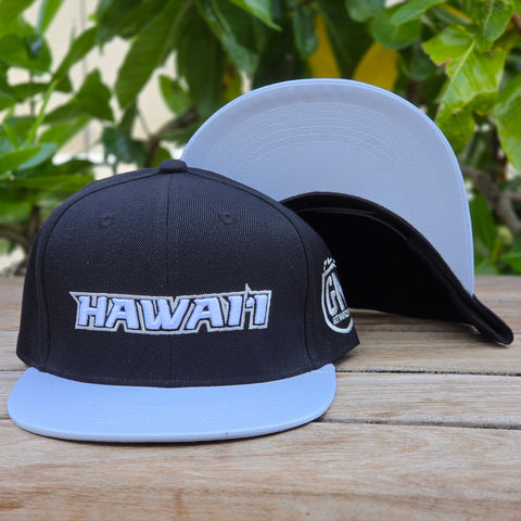 Modern Hawaii (Grey) - Snapback (Youth)